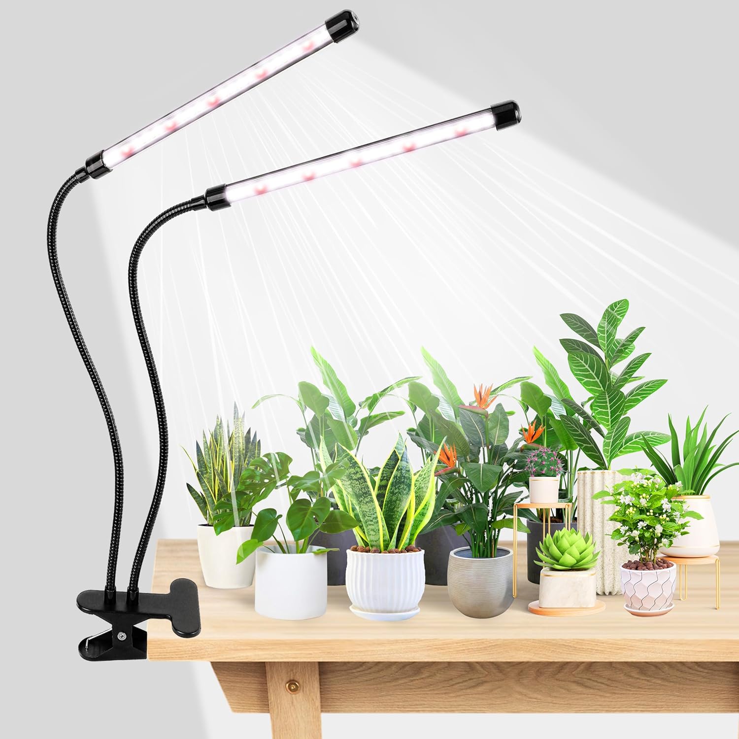 Food Storage Plants - KEBINCPLED USB 5V Clip Plantengroei Lamp