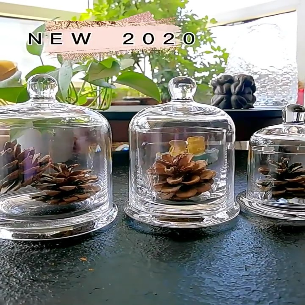 Food Storage Plants - Glazen opbergpot voor eeuwige bloemen, 8