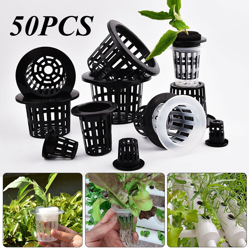 50 stuks zwart-witte grondloze - Food Storage Plants recensie en prijs