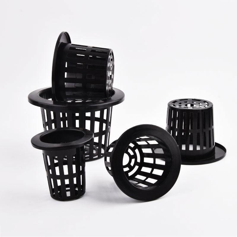50 stuks zwart-witte grondloze - Food Storage Plants recensie en prijs
