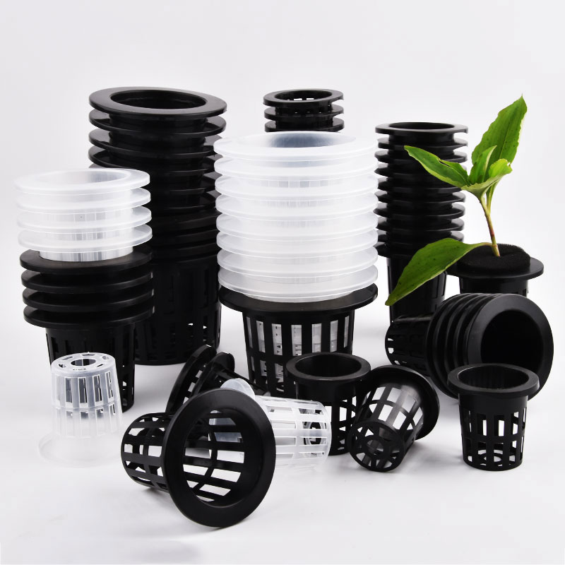 50 stuks zwart-witte grondloze - Food Storage Plants recensie en prijs