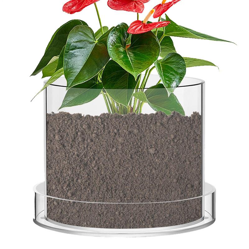 Doorzichtige plantenpotten met - Food Storage Plants recensie en prijs