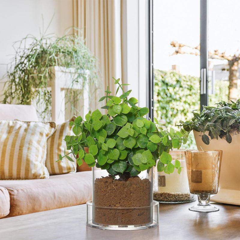Doorzichtige plantenpotten met - Food Storage Plants recensie en prijs