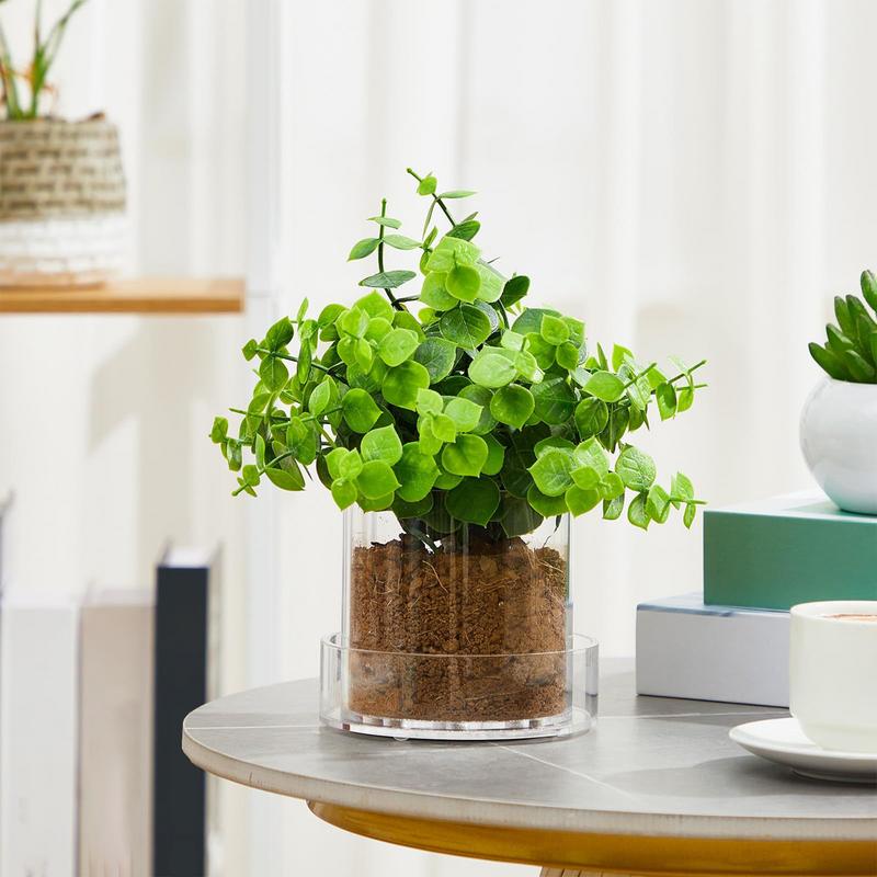 Doorzichtige plantenpotten met - Food Storage Plants recensie en prijs