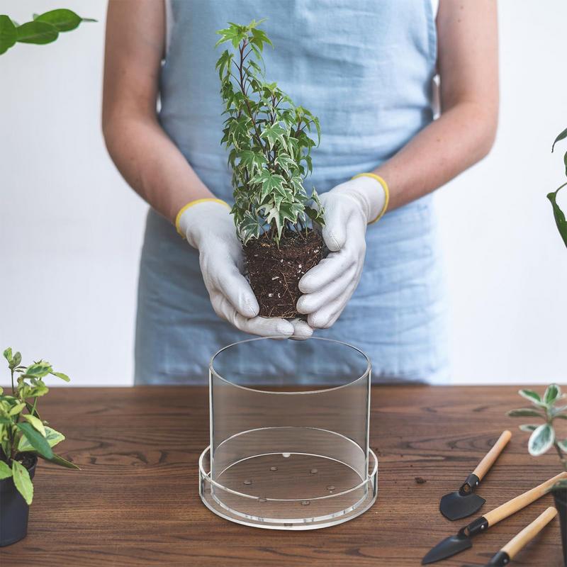 Doorzichtige plantenpotten met - Food Storage Plants recensie en prijs