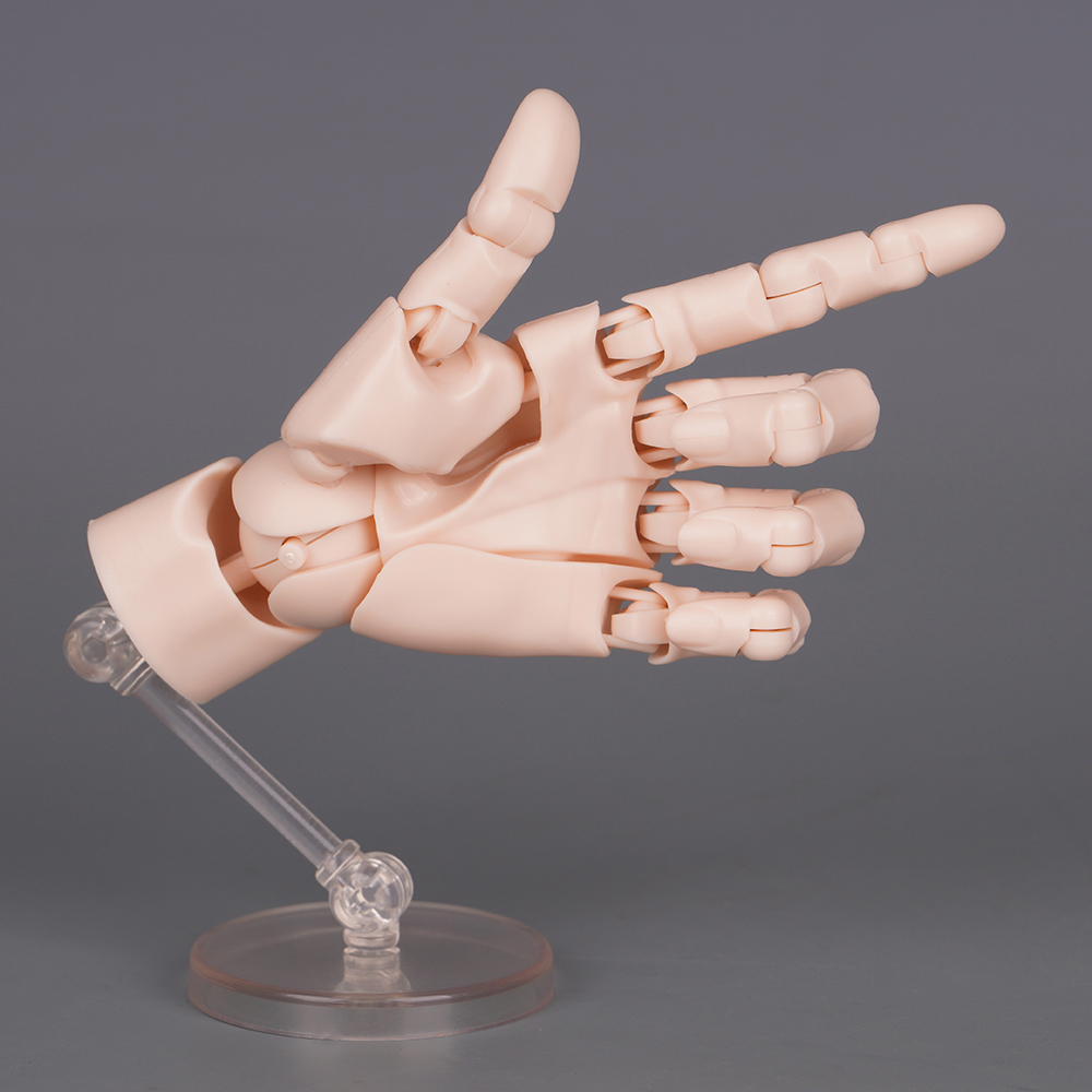 10,5 cm menselijk handmodel me - Food Storage Eggs recensie en prijs