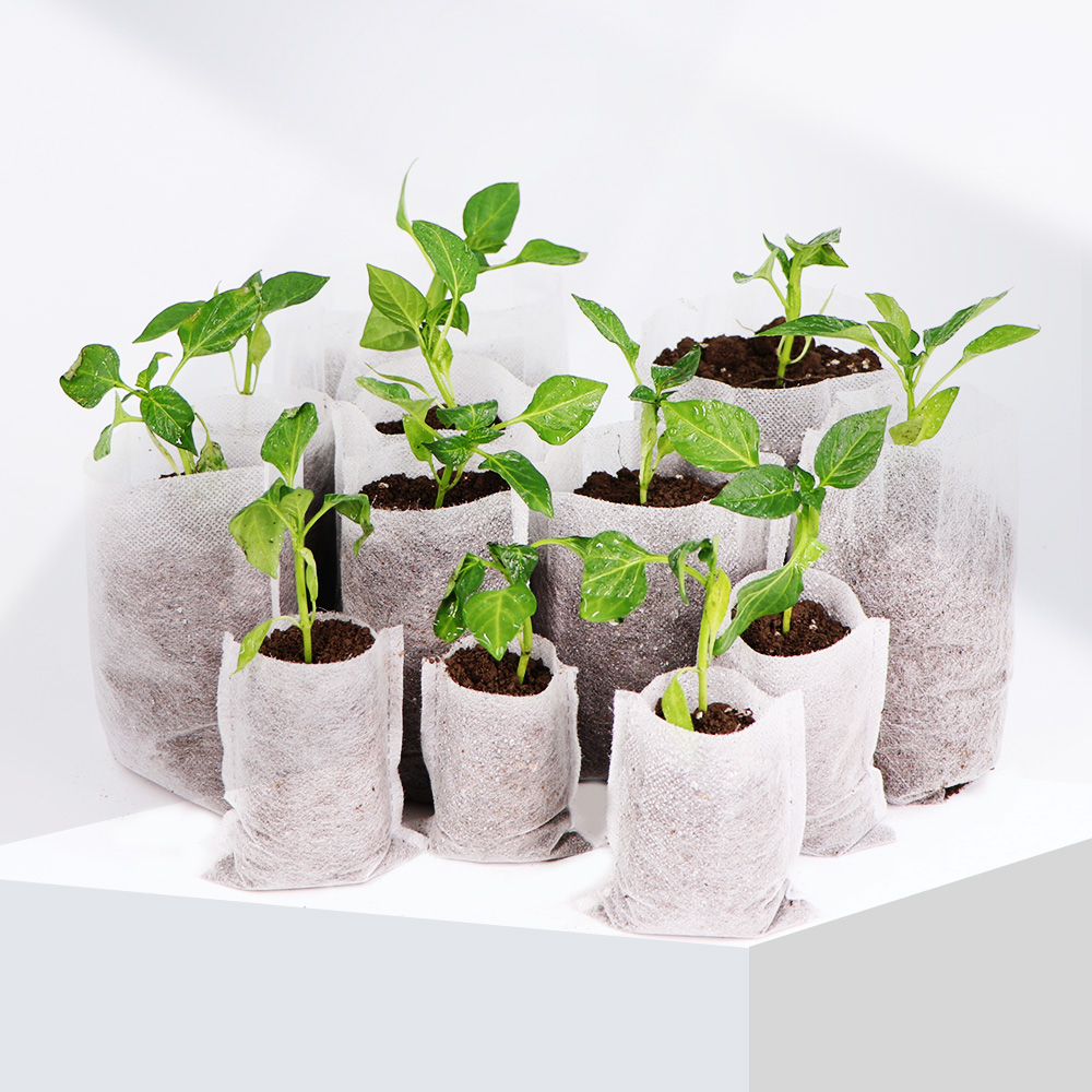 Biologisch Afbreekbare Geweven - Food Storage Plants recensie en prijs