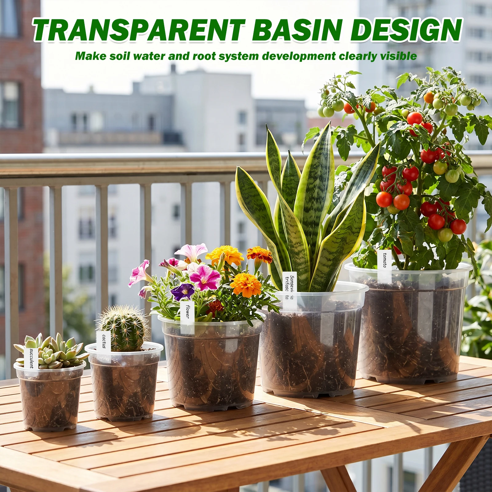 25 stuks 3/4/5/6/7 inch transp - Food Storage Plants recensie en prijs