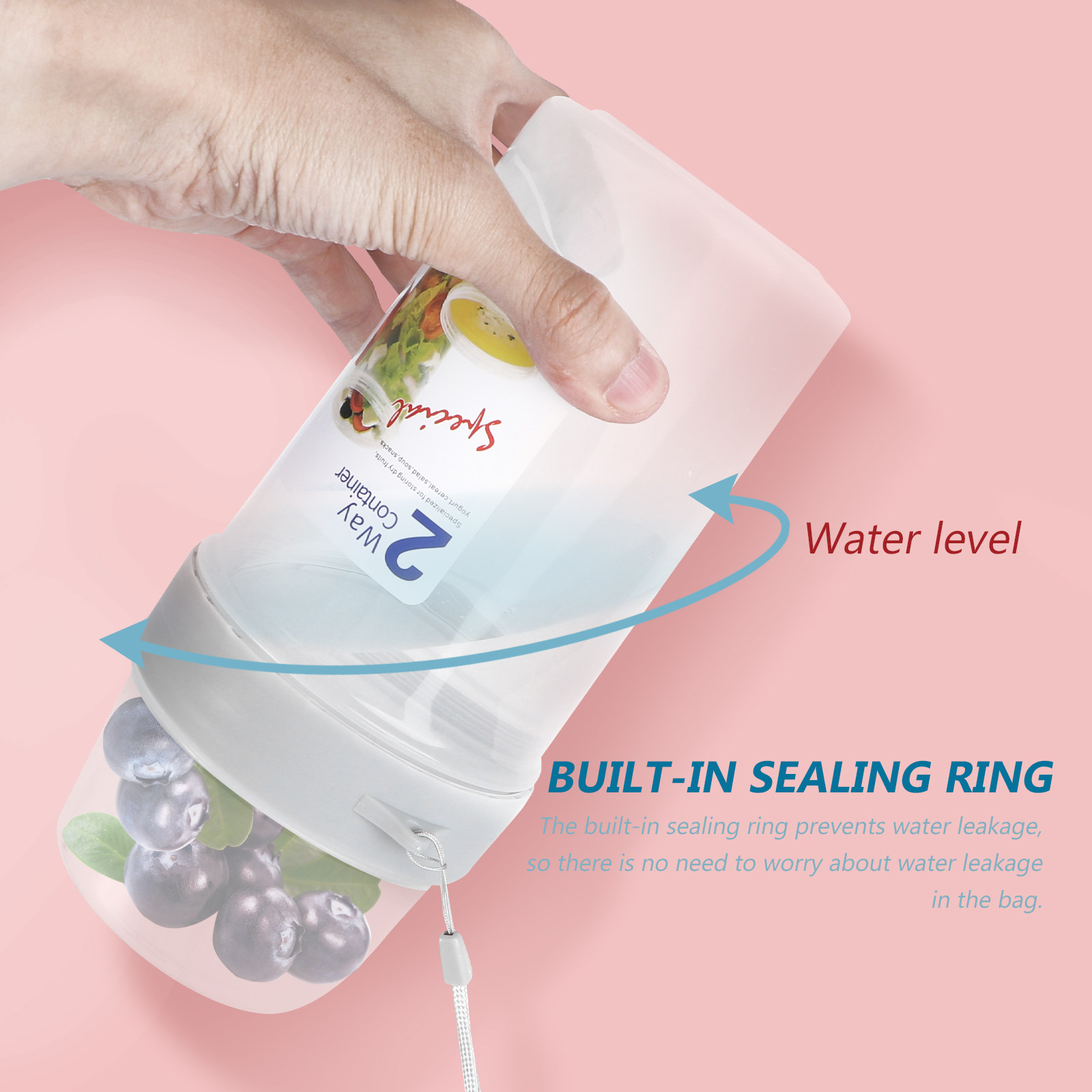 2 stuks dubbellaagse verzegeld - Food Storage Large Plastic Containers recensie en prijs