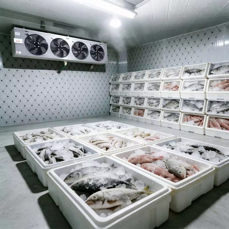 Op maat gemaakte, hygiënische, - Food Storage And Safety recensie en prijs
